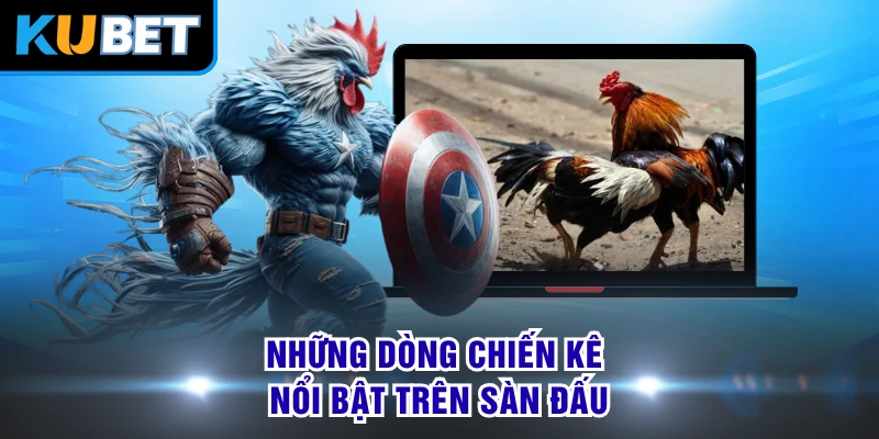 Những dòng chiến kê nổi bật trên sàn đấu